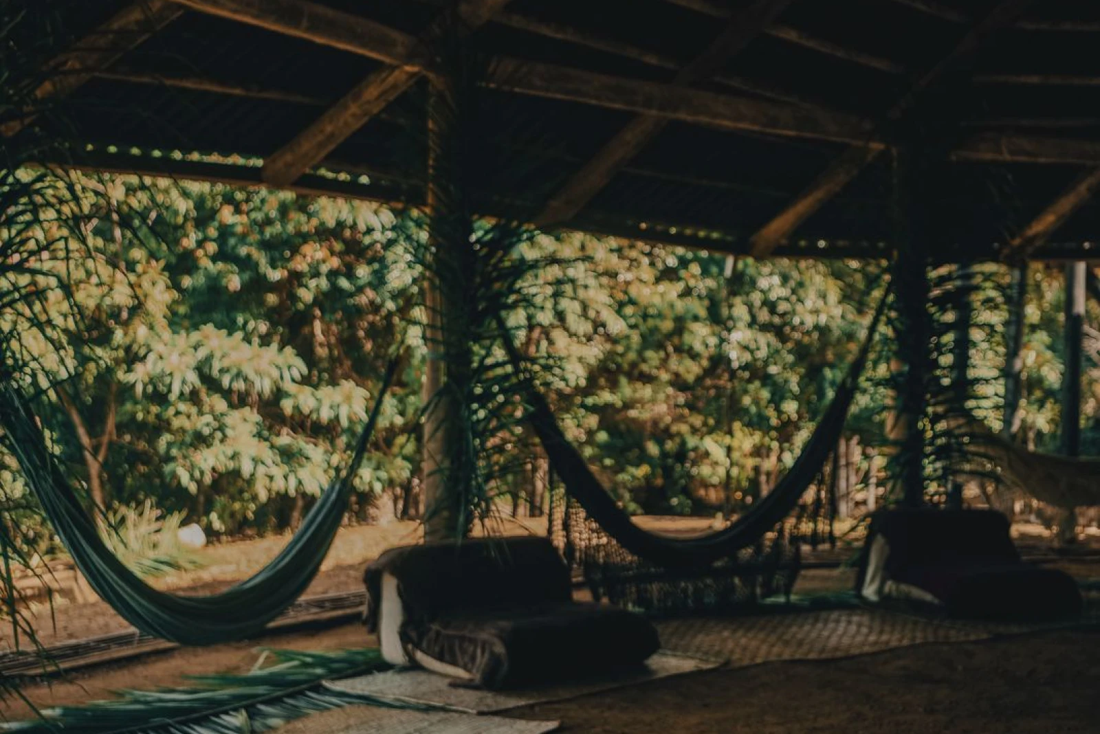 Imersão dos Céus às Estrelas